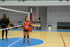 P1010339_ridotta